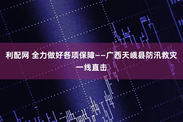 利配网 全力做好各项保障——广西天峨县防汛救灾一线直击