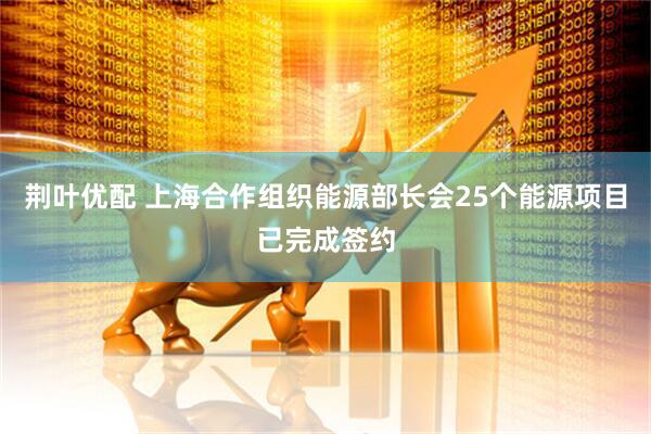 荆叶优配 上海合作组织能源部长会25个能源项目已完成签约