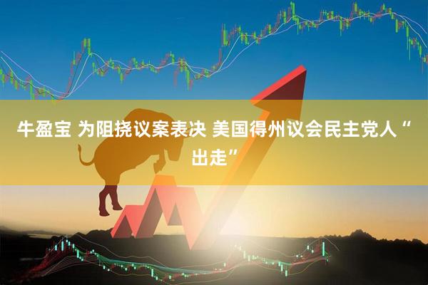牛盈宝 为阻挠议案表决 美国得州议会民主党人“出走”
