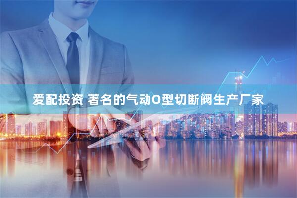 爱配投资 著名的气动O型切断阀生产厂家