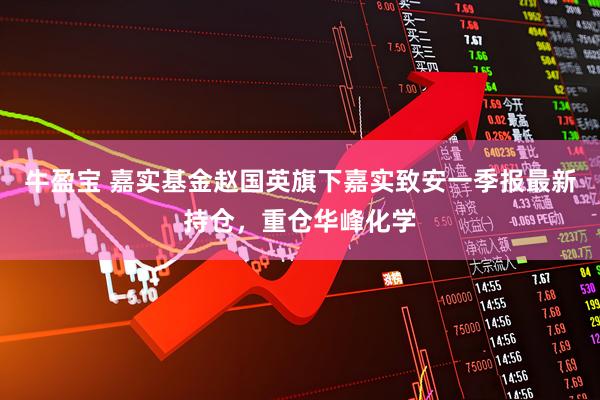 牛盈宝 嘉实基金赵国英旗下嘉实致安一季报最新持仓，重仓华峰化学